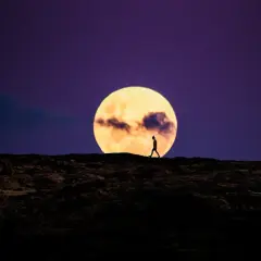 Samotna postać kroczy pod wielkim, pomarańczowym księżycem. Jak w kartach tarota, ta noc symbolizuje refleksję nad relacjami i przyszłością.