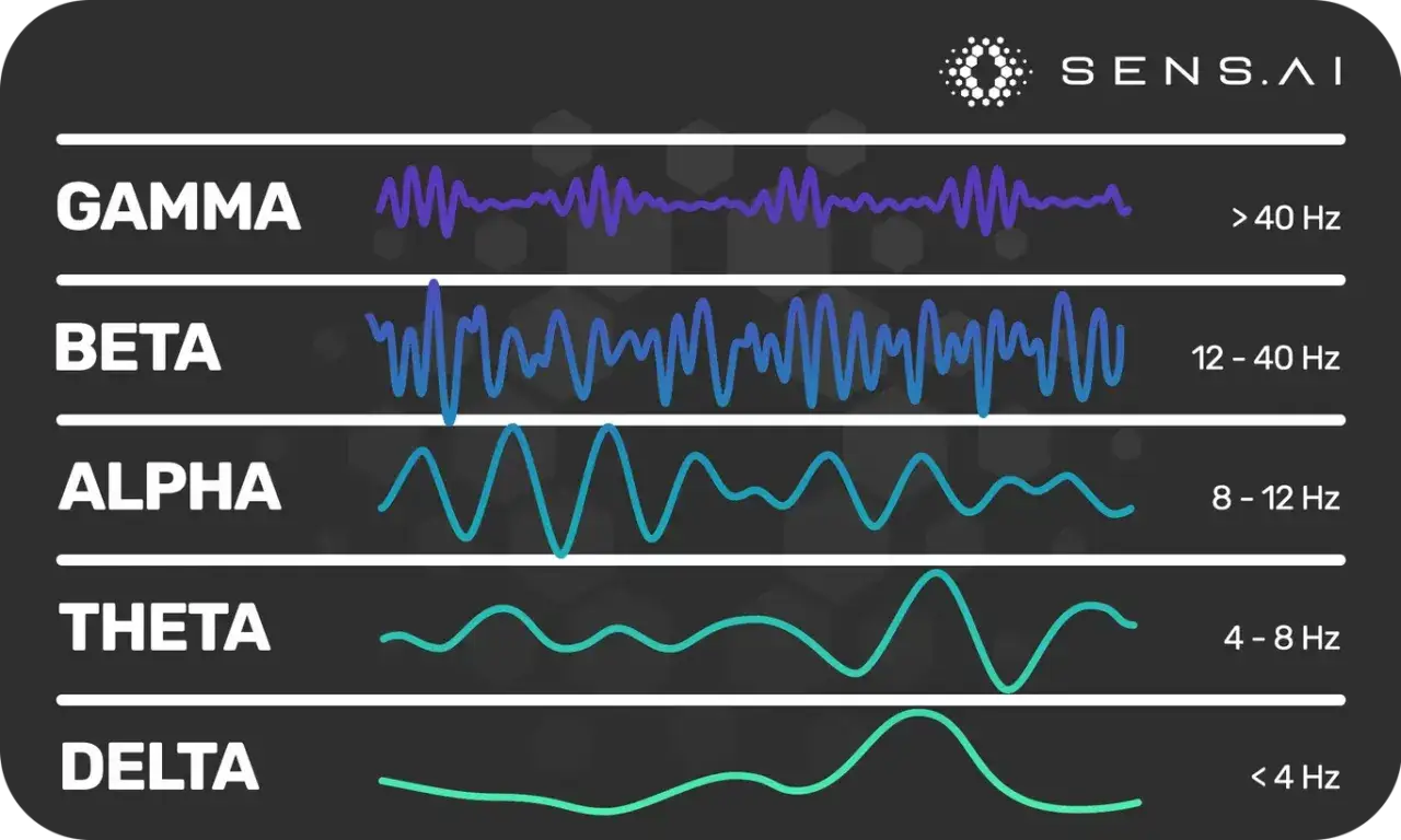 Wykres przedstawia fale mózgowe: Gamma, Beta (12-40 Hz), Alpha, Theta i Delta. Fale Beta są najbardziej dynamiczne.